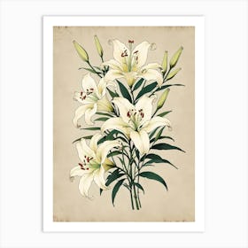 Lily Bouquet Art Print