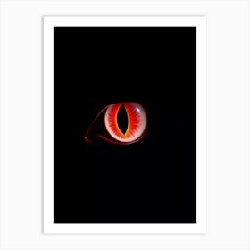 Eye Of The Dragon 1 Art Print