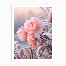 Frosty Botanical Camellia 5 Art Print