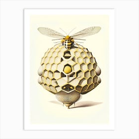 Drones Beehive Vintage Art Print