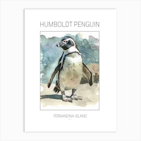 Humboldt Penguin Fernandina Island Watercolour Painting 4 Poster Art Print