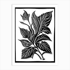 Stevia Leaf Linocut 2 Art Print