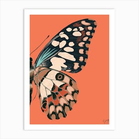 Butterfly Wing Coral Animal Art Print