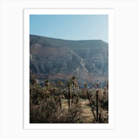 Mountains of Morocco with palmtrees | Travel Photography Art Print