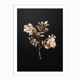 Gold Botanical Hairy Alpenrose on Wrought Iron Black n.4386 Art Print