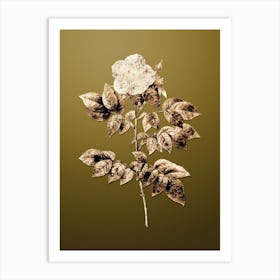 Gold Botanical Leschenault's Rose on Dune Yellow n.0872 Art Print