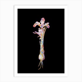 Stained Glass Iris Persica Mosaic Botanical Illustration on Black n.0019 Art Print