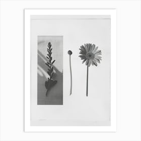 Gerbera Flower Photo Collage 2 Art Print