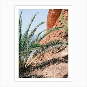 Sea, Red Rock & Palms // Ibiza Nature & Travel Photography Art Print