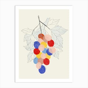 Grapes On A Branch Art Print