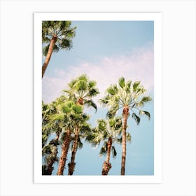 Palmtrees Of Morocco Art Print