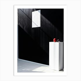 A Striking Contrast Between Super Black And Hyper White Elements Captured In The Natural Light Of D Art Print