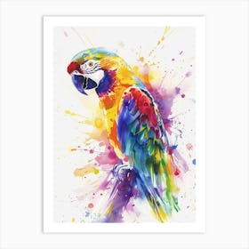 Parrot Colourful Watercolour 3 Art Print