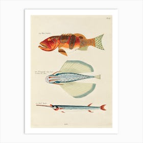 Colourful And Surreal Illustrations Of Fishes Found In Moluccas (Indonesia) And The East Indies, Louis Renard(60) Art Print