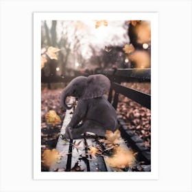 Baby Elephant On A Bench Art Print