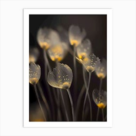 Flowers In The Dark Art Print