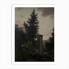 'The Woods' Art Print