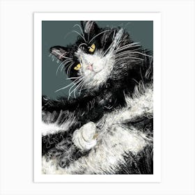 Jeffery The Black And White Cat Art Print