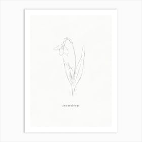 Snowdrop Line Drawing Art Print