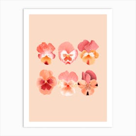 Pansies Art Print