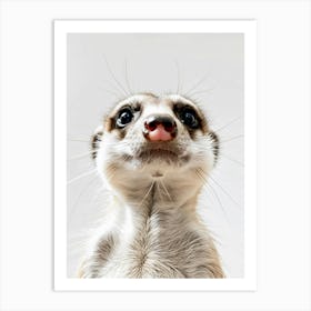 Cute Meerkat Art Print