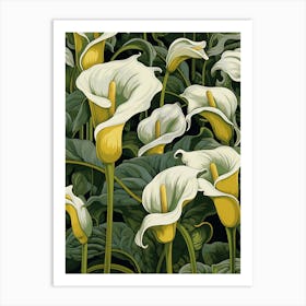 Calla Lilies Art Print