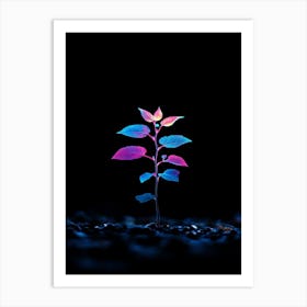 Plant Growing In The Dark 13 Art Print