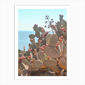 Riviera Cactus Art Print