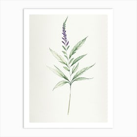 Vervain Leaf Minimalist Watercolour 2 Art Print