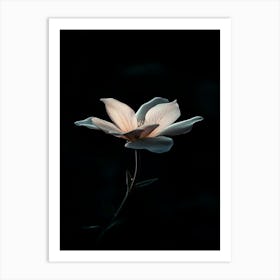 Dark Flower 9 Art Print