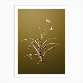 Gold Botanical Spiderwort on Dune Yellow n.2721 Art Print