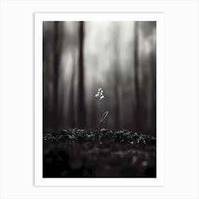 Lily Of The Valley 9 Art Print