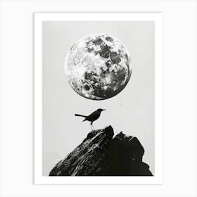 Bird On A Rock Art Print