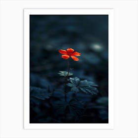 Single Flower In The Dark 75 Art Print