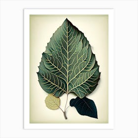 Quaking Aspen Leaf Vintage Botanical 2 Art Print