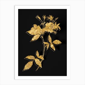 Vintage Hudson Rosehip Botanical in Gold on Black n.0588 Art Print