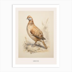 Vintage Bird Drawing Grouse 3 Poster Art Print