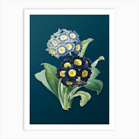 Vintage Mountain Cowslip Botanical Art on Teal Blue n.0147 Art Print