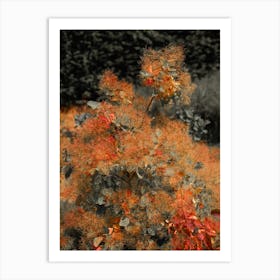 Autumn Leaves Art Print