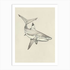 Scalloped Hammerhead Shark Vintage Pencil Illustration Art Print