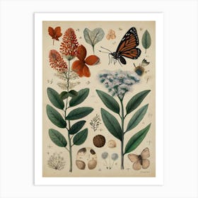 Botanical Garden Art Print