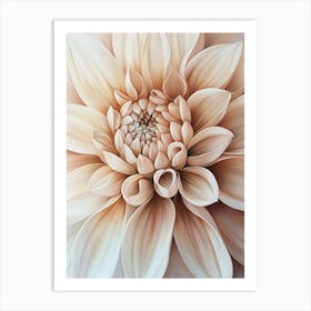 Dahlia Flower 5 Art Print