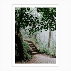 Stairways into the wood, Sintra Art Print