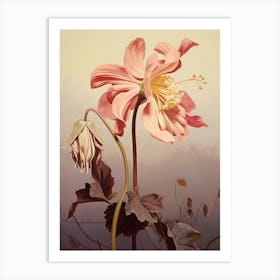 Floral Illustration Columbine 2 Art Print