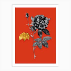 Vintage French Rose Black and White Gold Leaf Floral Art on Tomato Red n.1090 Art Print