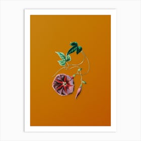 Vintage Male Jalap Flower Botanical on Sunset Orange n.0423 Art Print
