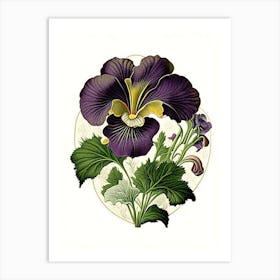 Pansy Wildflower Vintage Botanical 2 Art Print