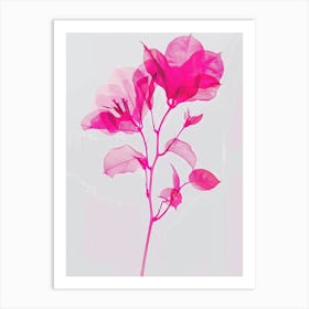 Hot Pink Bougainvillea 2 Art Print