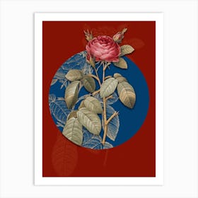 Vintage Botanical Red Gallic Rose on Circle Blue on Red n.0065 Art Print