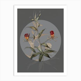 Vintage Botanical Flame Lily on Circle Gray on Gray n.0325 Art Print